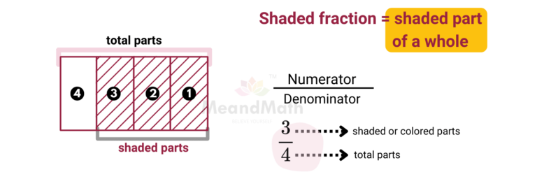 Understanding Shaded & Unshaded Fractions